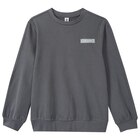 Aktuelle Shirt Angebote bei Ernstings family in Bremen Aktuelles Jungen Sweatshirt mit Applikation Angebot bei Ernstings family in Bremen ab 12,99 €