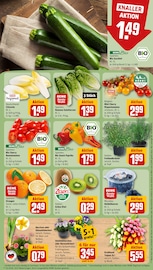 Tulpen im REWE Prospekt in Hilden Aktueller REWE Prospekt mit Tulpen, "Dein Markt", Seite 9