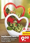 Aktuelles bepflanztes Herz Angebot bei Netto Marken-Discount in Koblenz ab 9,99 €