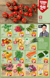 Blumenerde Angebot im aktuellen REWE Prospekt auf Seite 7