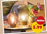 LED-Deko-Lampe im Penny Prospekt LED-Deko-Lampe im aktuellen Penny Prospekt für 3,99 €