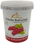 Rote Johannisbeere bei REWE im Prospekt "" für 2,19 €