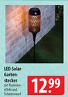 LED-Solar-Gartenstecker bei famila Nordost im Uetersen Prospekt für 12,99 €