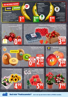 Aktueller Frischemarkt Prill Eldena Prospekt Frischemarkt Prill Prospekt Eldena "Top Angebote" mit 13 Seiten