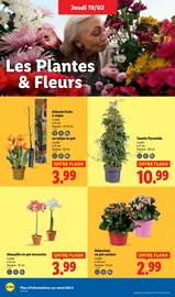 Plante Verte Angebote im Prospekt "LIDL SOUTIENT LES PRODUCTEURS FRANÇAIS" von Lidl auf Seite 28