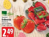 Aktuelles Erdbeeren Angebot bei EDEKA in Mönchengladbach ab 2,49 €