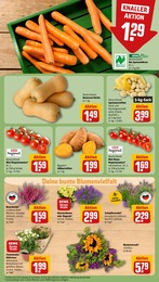 Garten Angebot & Preis im aktuellen REWE Prospekt Garten Angebot im aktuellen REWE Prospekt auf Seite 7
