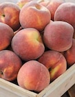 Intermarché Ris-Orangis - Promo Peche Jaune et/ou Blanche Promo Peche Jaune et/ou Blanche à 2,49 € dans le catalogue Intermarché à Ris-Orangis