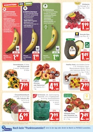Marktkauf Wassermelone im Prospekt 