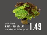 Aktuelles Multicolorsalat Angebot bei EDEKA in Bochum ab 1,49 €