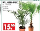 PALMEN-MIX Phoenix Angebote bei Wreesmann Dresden für 15,99 €