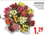 MOOSROSEN bei Marktkauf im Ahlen Prospekt für 1,29 €