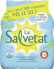 Eau Minérale - LA SALVETAT dans le catalogue Géant Casino Eau minérale naturelle finement pétillante - LA SALVETAT à 2,94 € en promo chez Géant Casino