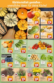 Kürbis im REWE Prospekt in Herne Aktueller REWE Prospekt mit Kürbis, "Dein Markt", Seite 7