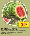 toom Baumarkt Butzbach - Bio-Melone/-Kürbis Angebot im Prospekt Bio-Melone/-Kürbis bei toom Baumarkt im Butzbach Prospekt für 3,99 €