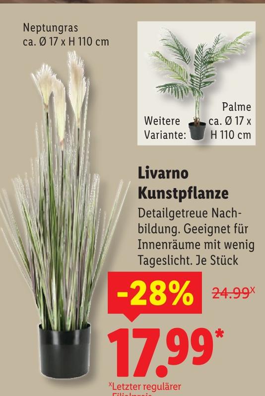 Kunstpflanze Neptungras