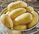 Pomme de terre de consommation à chair ferme - PRINCESSE AMANDINE - Intermarché Express à La Garenne-Colombes Pomme de terre de consommation à chair ferme - PRINCESSE AMANDINE en promo chez Intermarché Express La Garenne-Colombes à 2,79 €