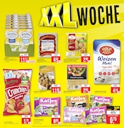 Aktueller Marktkauf Prospekt mit Würstchen, "Aktuelle Angebote", Seite 2