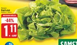 Kopfsalat bei EDEKA im Lüdenscheid Prospekt für 1,11 €