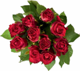Edelrosen im Angebot bei Netto Marken-Discount in Görlitz Edelrosen Angebote bei Netto Marken-Discount Görlitz für 2,99 €