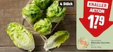 Römersalat »Extra fein« im Angebot bei REWE in Cottbus Römersalat »Extra fein« Angebote von REWE Feine Welt bei REWE Cottbus für 1,79 €