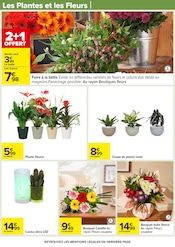 Plante Verte Angebote im Prospekt "LE MOIS MONOPOLY" von Carrefour auf Seite 76