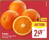 Orangen bei ALDI Nord im Schönewerda Prospekt für 2,49 €