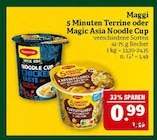 5 Minuten Terrine Angebote von Maggi bei Marktkauf Schwabach für 0,99 €