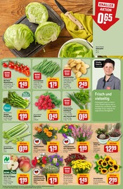 Bohnen im REWE Prospekt in Oldenburg Aktueller REWE Prospekt mit Bohnen, "Dein Markt", Seite 9