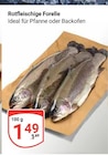 Aktuelle Forelle Angebote bei GLOBUS in Ludwigshafen (Rhein) Aktuelles Rotfleischige Forelle Angebot bei GLOBUS in Ludwigshafen (Rhein) ab 1,49 €