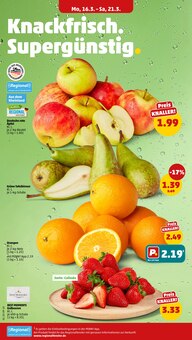 Äpfel im Penny Prospekt "Wer günstig will, muss Penny." mit 49 Seiten (Essen)