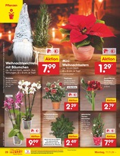 Aktueller Netto Marken-Discount Prospekt mit Weihnachtsstern, "Aktuelle Angebote", Seite 34