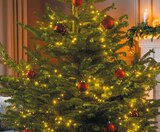 LED-Weihnachtsbaumlichterkette im Rossmann Prospekt LED-Weihnachtsbaumlichterkette im aktuellen Rossmann Prospekt für 12,99 €