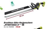 Aktuelles Brushless-Akku-Heckenschere RY18HTX60A-0 Angebot bei toom Baumarkt in Aachen ab 179,99 €
