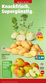 Äpfel im Penny Prospekt "Wer günstig will, muss Penny." mit 44 Seiten (Duisburg)