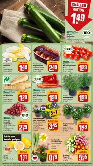 Paprika im REWE Prospekt "Dein Markt" mit 32 Seiten (Heidelberg)