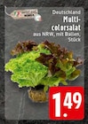 Multicolorsalat Angebote bei EDEKA Paderborn für 1,49 €