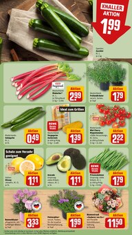 Blumen im REWE Prospekt "Dein Markt" mit 20 Seiten (Mannheim)