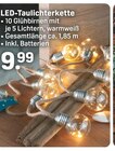 LED-Taulichterkette Angebote bei Rossmann Amberg für 9,99 €