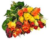 Aktuelles Rosen »Trio«, »Duo« oder »Jahreszeiten« Angebot bei REWE in Bochum ab 3,49 €