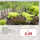 Gemüse 6er Schale Angebot in Mallersdorf-Pfaffenberg Gemüse 6er Schale im aktuellen Prospekt bei Labertaler Fachmarkt in Mallersdorf-Pfaffenberg