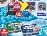 EDEKA Rochlitz - Frischkäse oder -zubereitung Angebot im Prospekt Frischkäse oder -zubereitung bei EDEKA im Rochlitz Prospekt für