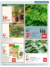 Prospectus Auchan Hypermarché "COUP DE PROPRE" en cours à Le Mans, Page 49 Catalogue Auchan Hypermarché en cours à Le Mans, "COUP DE PROPRE", Page 49