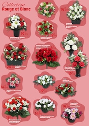 Prix et réduction Plante Verte dans le prospectus Maxi Bazar en cours Offre Plante Verte dans le catalogue Maxi Bazar du moment à la page 2
