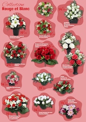Promos Fleurs d'extérieur dans le catalogue "TOUSSAINT fleurir le souvenir" de Maxi Bazar à la page 2