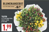 Tulpen Angebote bei Marktkauf Wuppertal für 1,99 €