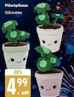 Plüschpflanze im aktuellen Marktkauf Prospekt