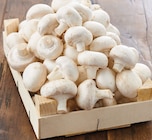 Intermarché Super Crouy - Promo Champignon blanc Promo Champignon blanc à 1,79 € dans le catalogue Intermarché Super à Crouy