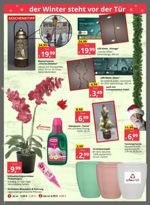 Aktueller Bauzentrum Reinholdshain Dippoldiswalde Prospekt "Regional. Kompetent. Zuverlässig." mit 8 Seiten