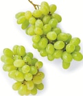 Supermarchés Match Lorry-lès-Metz - Promo Raisin blanc sans pépins Promo Raisin blanc sans pépins à 2,99 € dans le catalogue Supermarchés Match à Lorry-lès-Metz